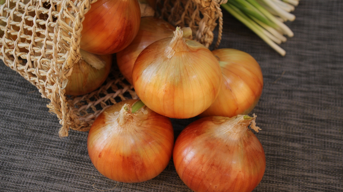 Does onion help in hair growth? - The New Revolution